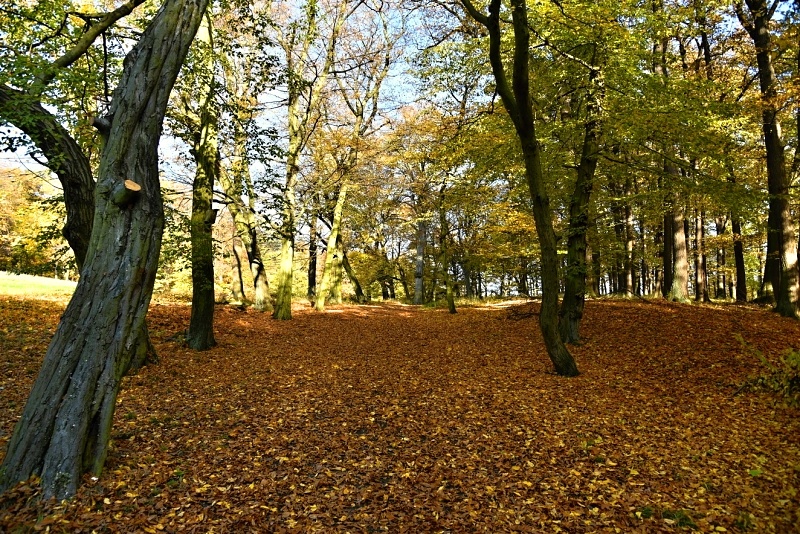 Červený Hrádek